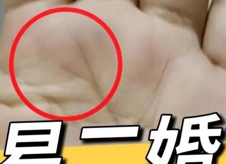 商务调查机构-手掌感情线的脱节和脱位的几种情况