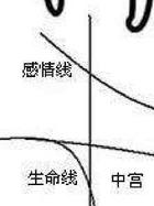 感情线分叉_爱情线分叉会离婚吗_感情线分叉再分叉