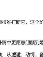 孕妇出轨了_出轨孕妇风水_出轨孕妇AV